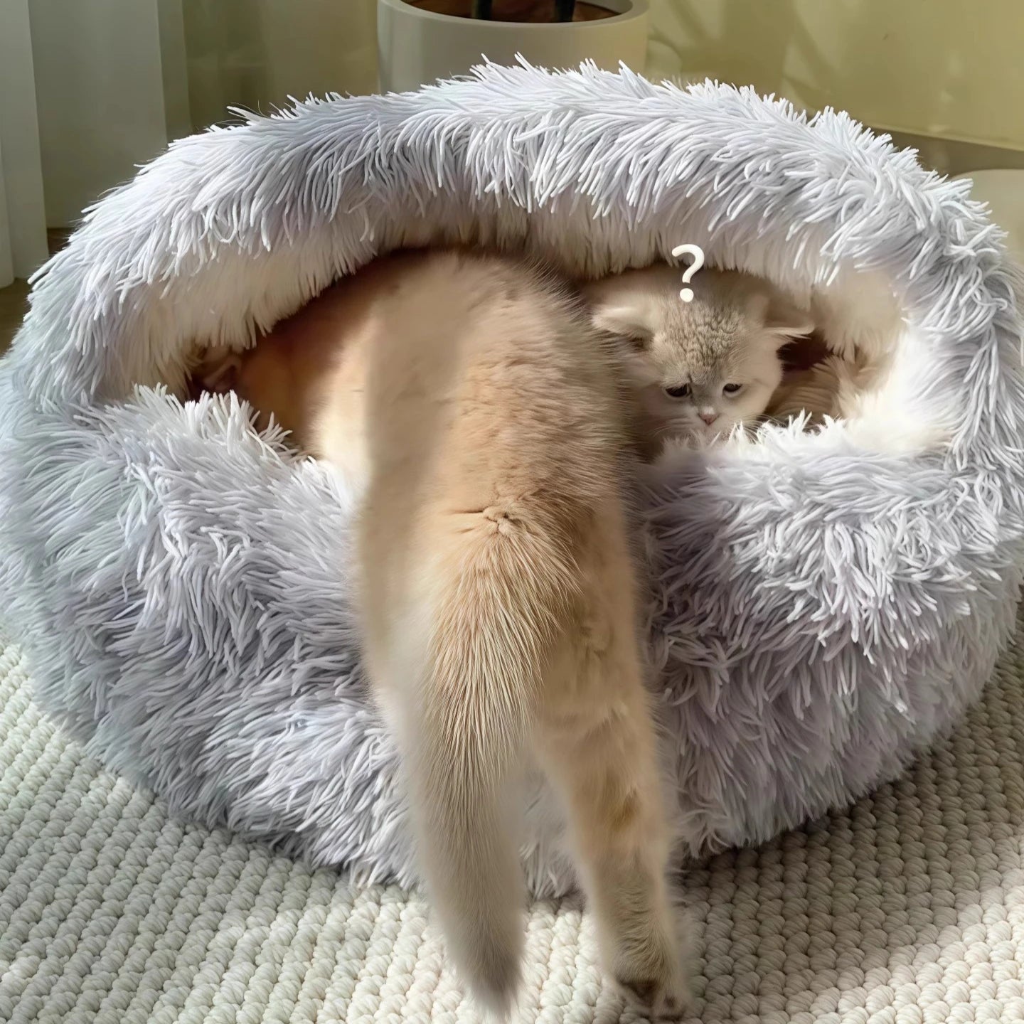 2 in 1 Soft Plush Pet Bed