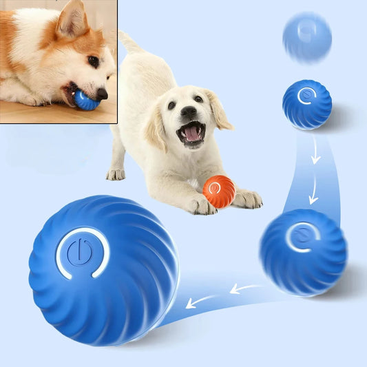 Pelota interactiva para mascotas