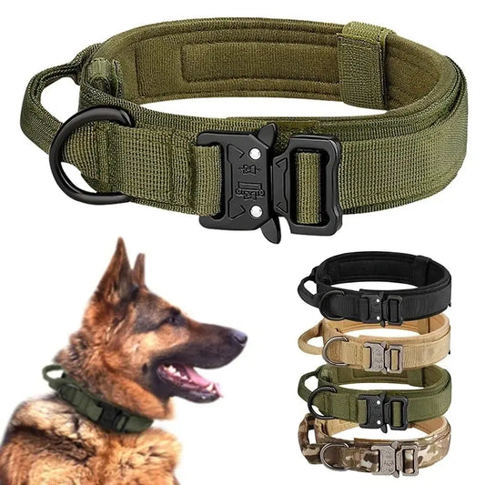 Heavy-Duty Tactical Dog Collar