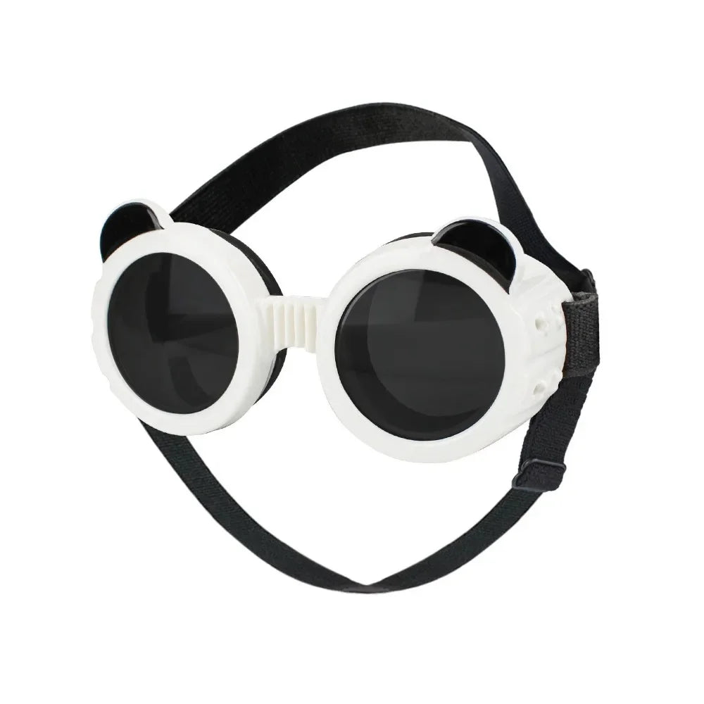 Lunettes rondes rétro pour chien