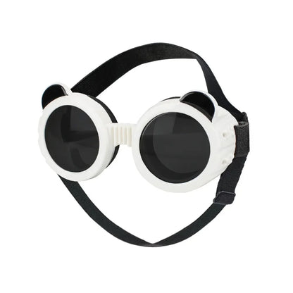Lunettes rondes rétro pour chien