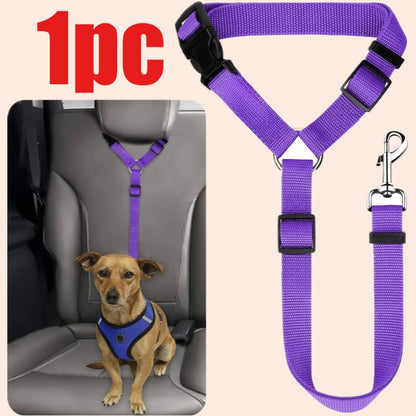 Cintura di sicurezza per auto per cani