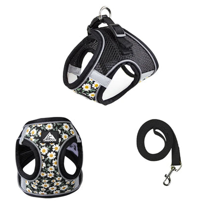 Floral Reflective Cat Harness Set