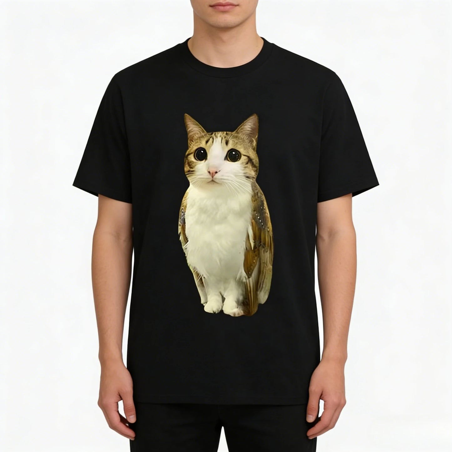 Camisetas gato meme