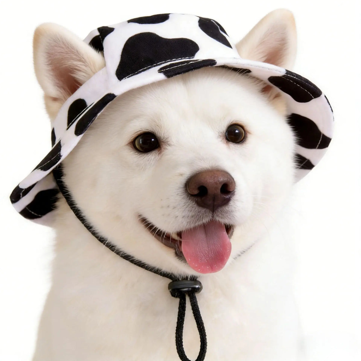 Printed Cotton Pet Bucket Hat with Ear Openings and Adjustable Cord