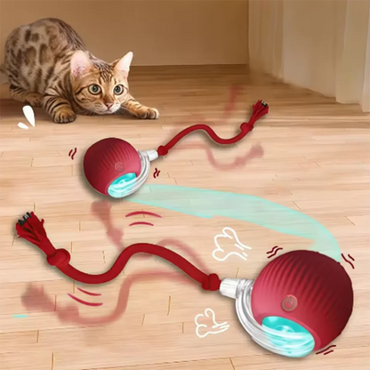 Pelota interactiva de juguete para gatos con ruedas