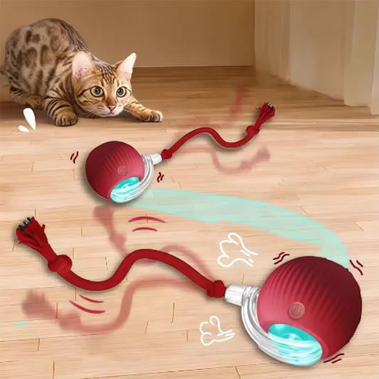 Interactive Rolling Cat Toy Ball