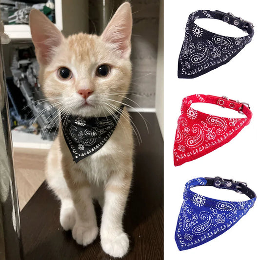 Paisley Cat Bandana Collar