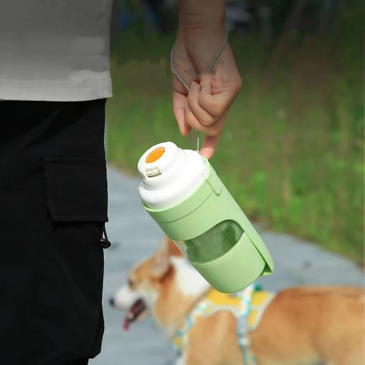 Bouteille d'eau portative pour animaux de compagnie