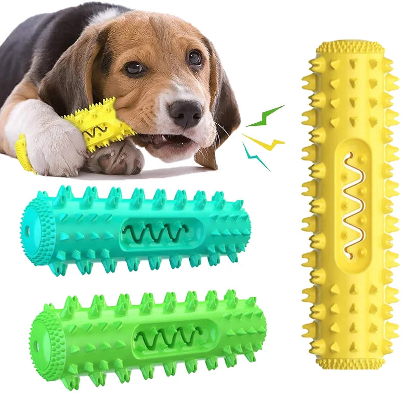 Spiky Dog Chew Toy