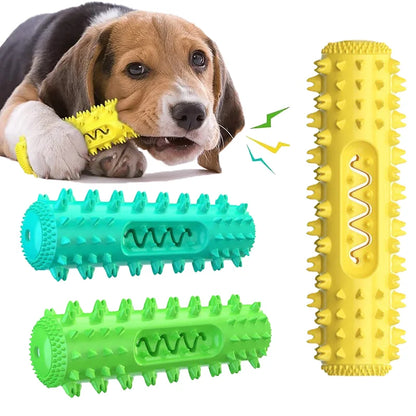 Spiky Dog Chew Toy