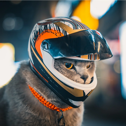 Pet Moto Racing Helmet