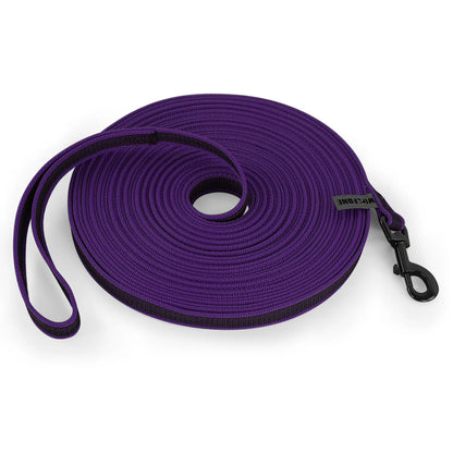 Heavy Duty Nylon Dog Leash
