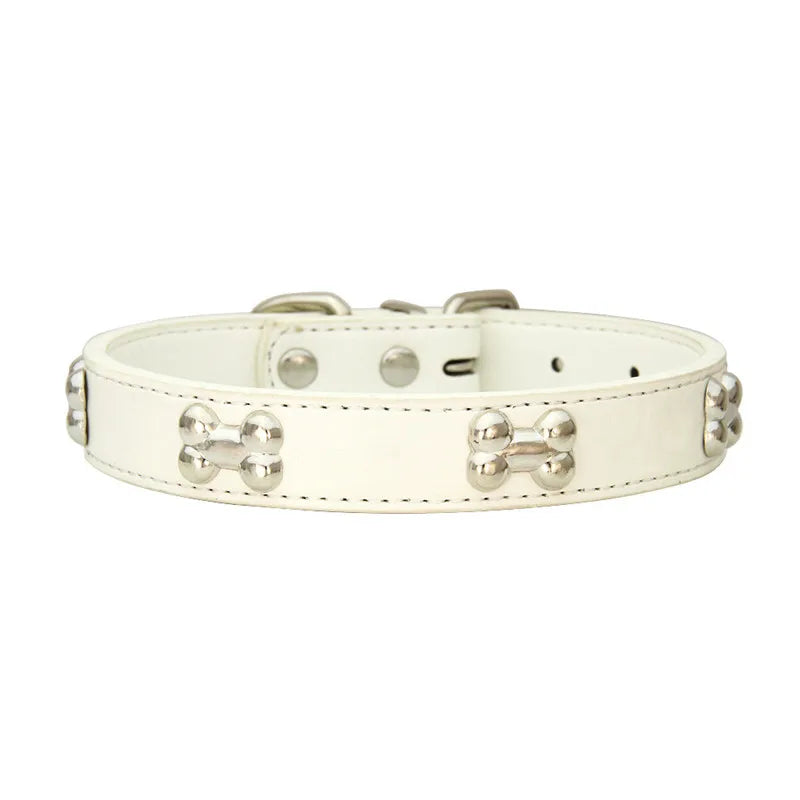 Colorful Dog Collar with Bone Studs