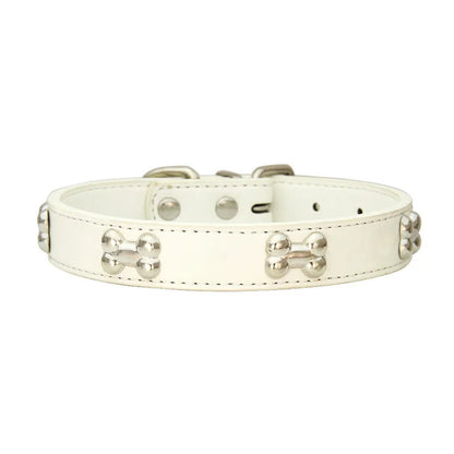 Colorful Dog Collar with Bone Studs
