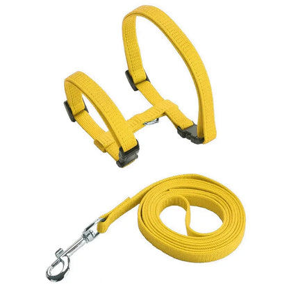Collier de harnais anti-évasion pour chat