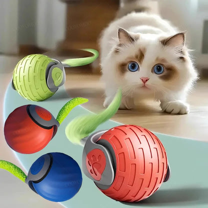 Smart Cat Ball Interactive