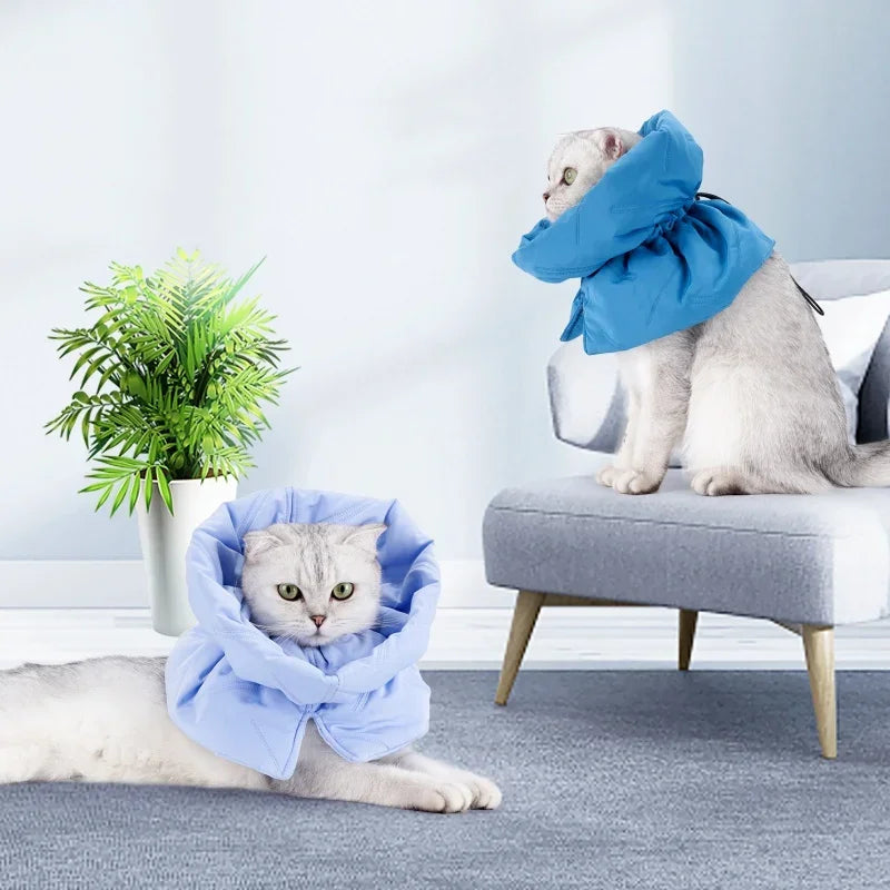 Adjustable Recovery Cat Collar