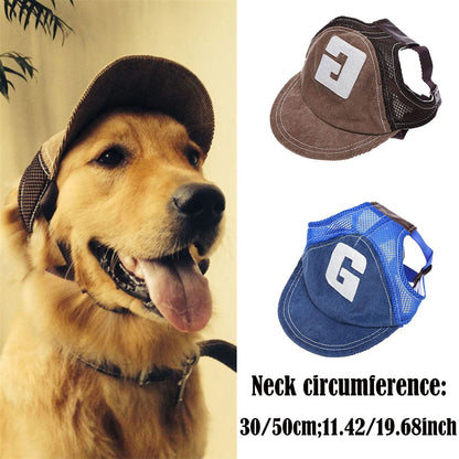 Modernes monochromes Hundehaus