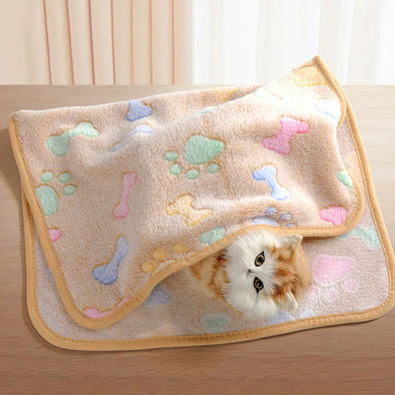 Winter Velvet Pet Blanket