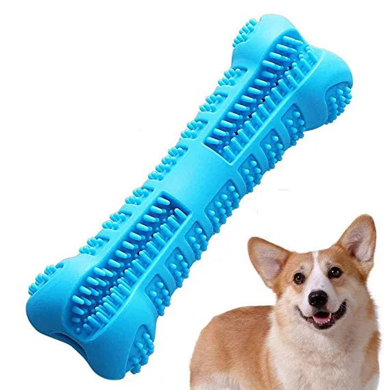 Bristle Bone Dog Chew Toy