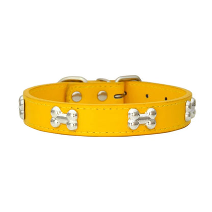 Colorful Dog Collar with Bone Studs