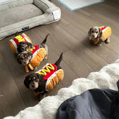 Kostüm für Haustiere als Hotdog mit Brötchen- und Senfdetails