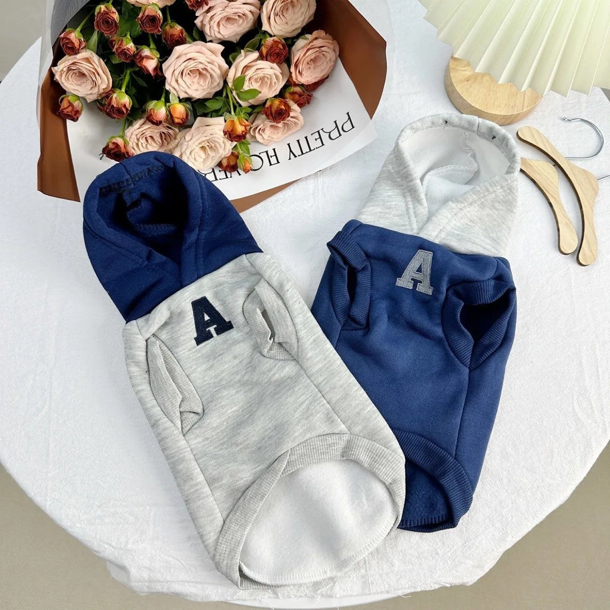 Colorblock Dog Hoodie with Varsity Letter Detail