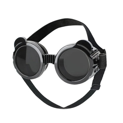 Lunettes rondes rétro pour chien