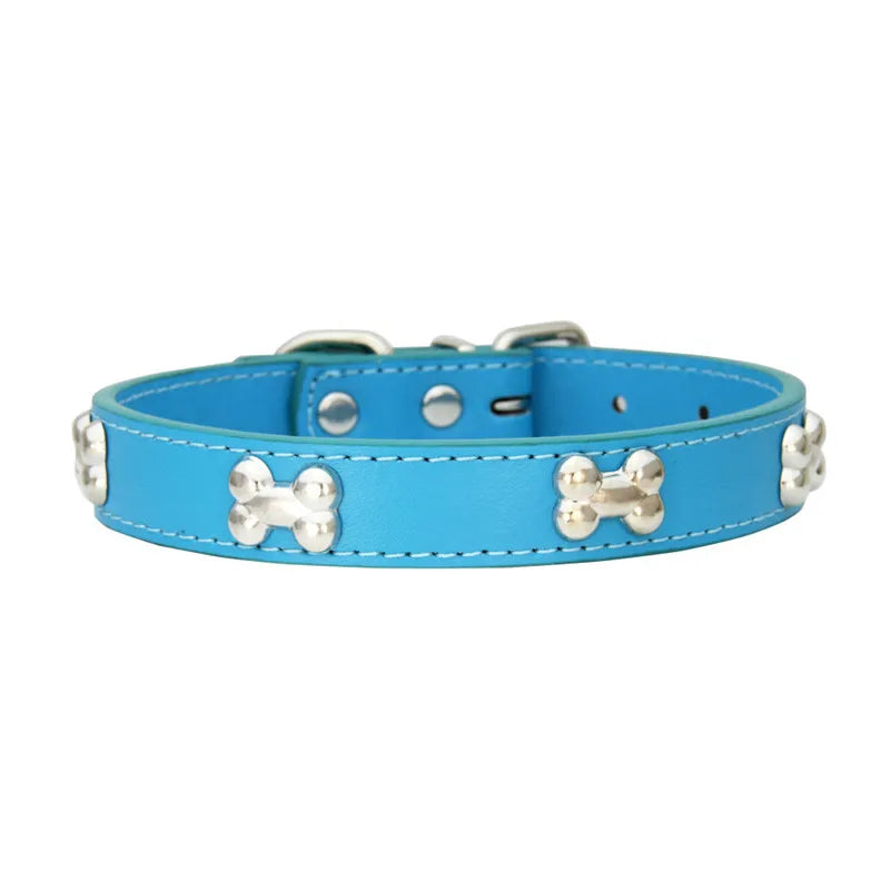 Colorful Dog Collar with Bone Studs