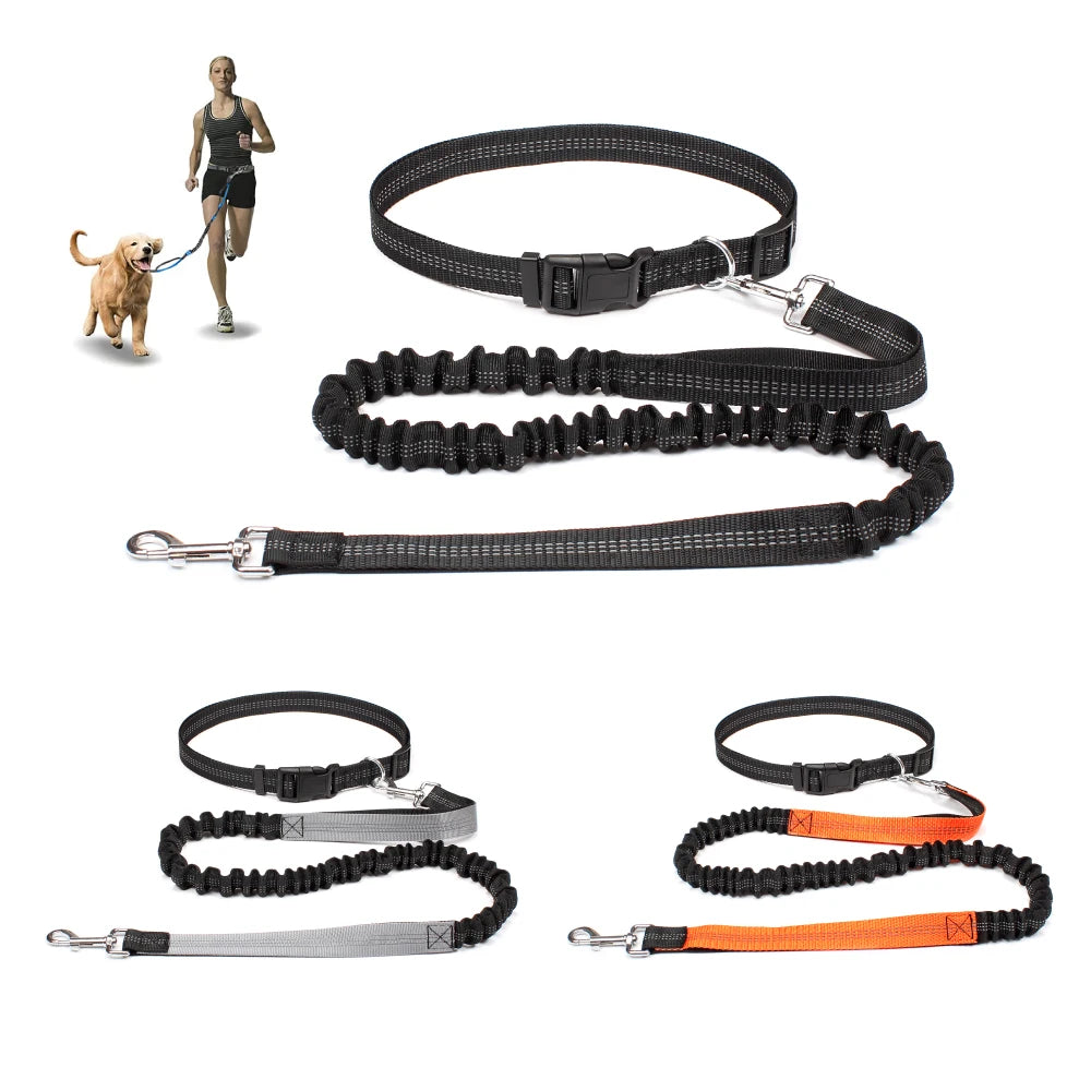 Dog Dad Pro Hands-Free Leash Set