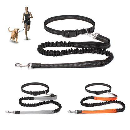 Dog Dad Pro Hands-Free Leash Set