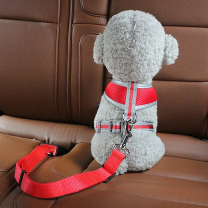 Cintura di sicurezza per auto regolabile per cani
