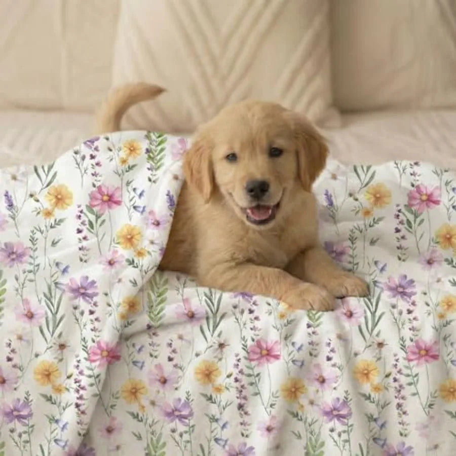 Pets Flannel Fluffy Blanket
