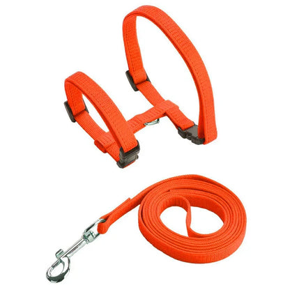 Collier de harnais anti-évasion pour chat