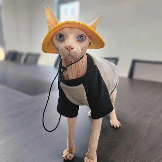 Summer Cat Hat With Ear Holes