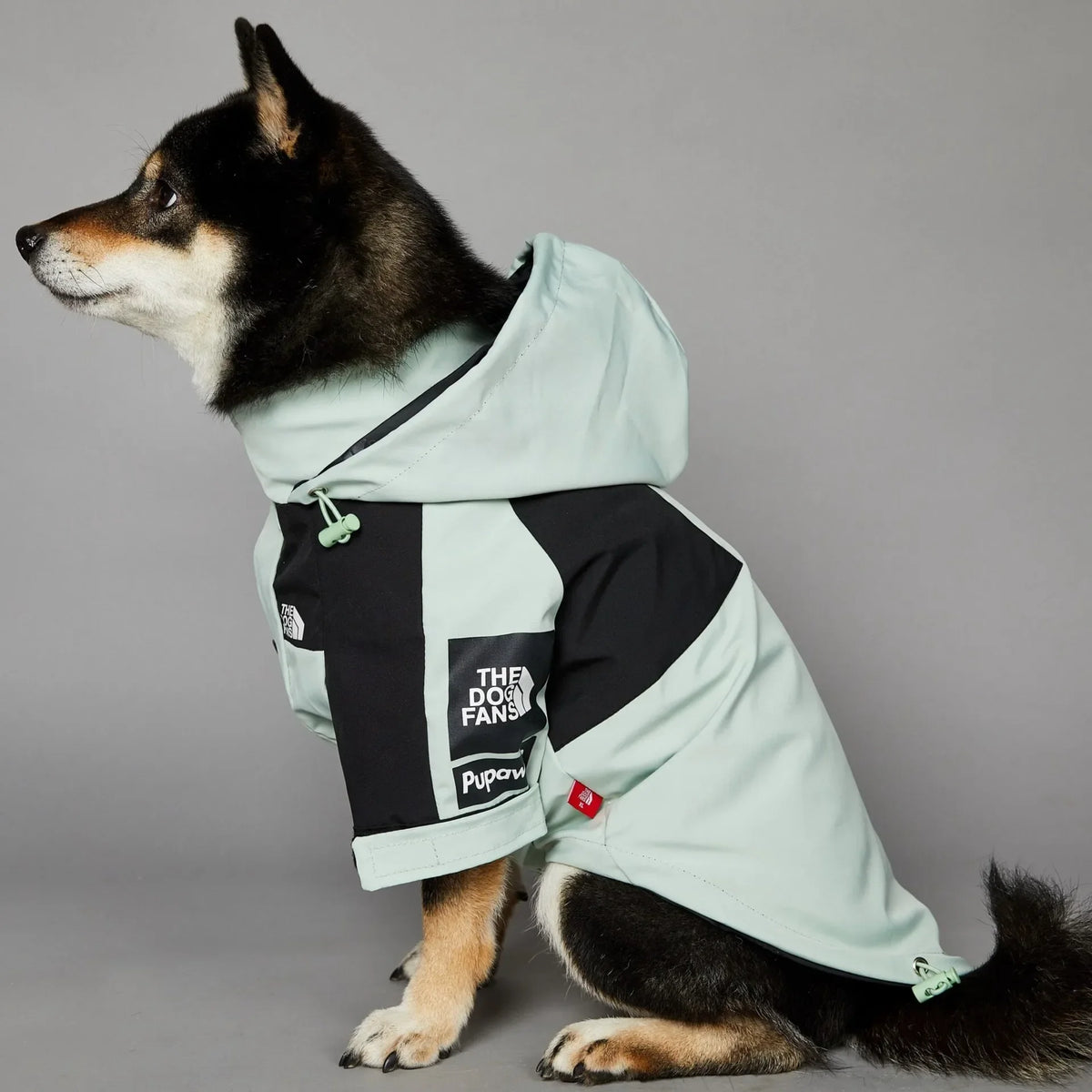 Hooded Colorblock Dog Raincoat with Snap Front