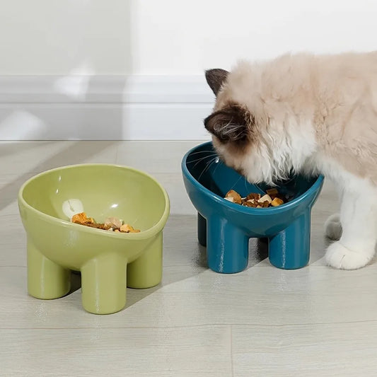 Tilted Elevated Dogs Bowl