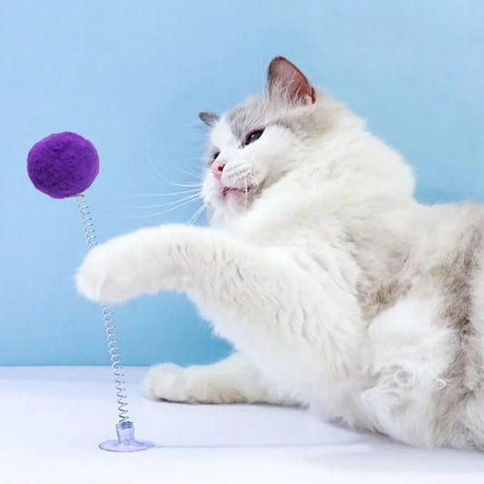 Ball Toy with Suction Cup Interactive Cat