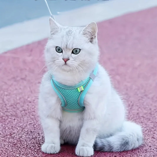 Cat Harness Leash Set
