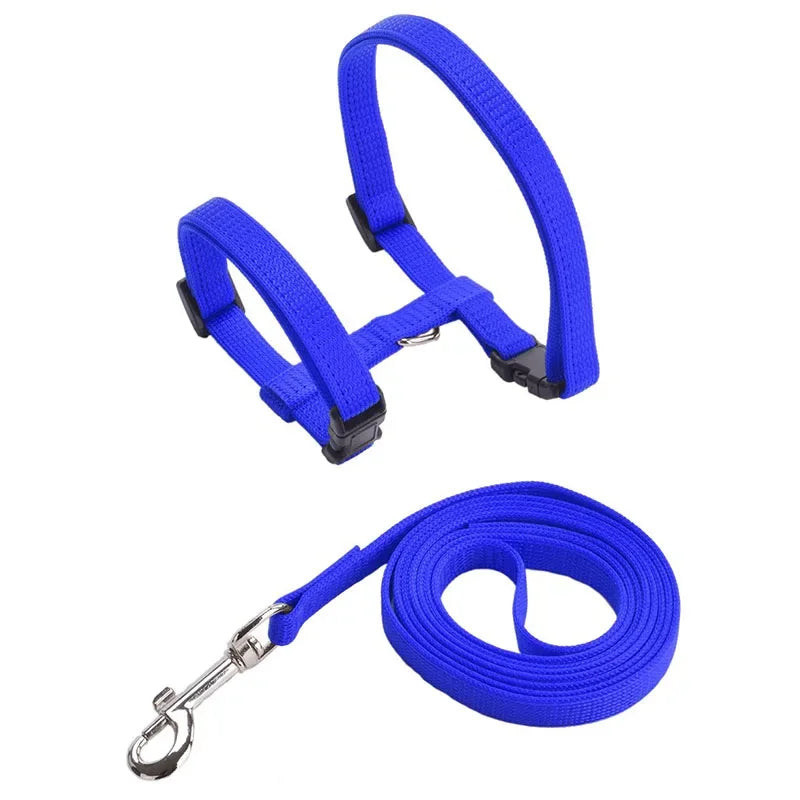 Collier de harnais anti-évasion pour chat