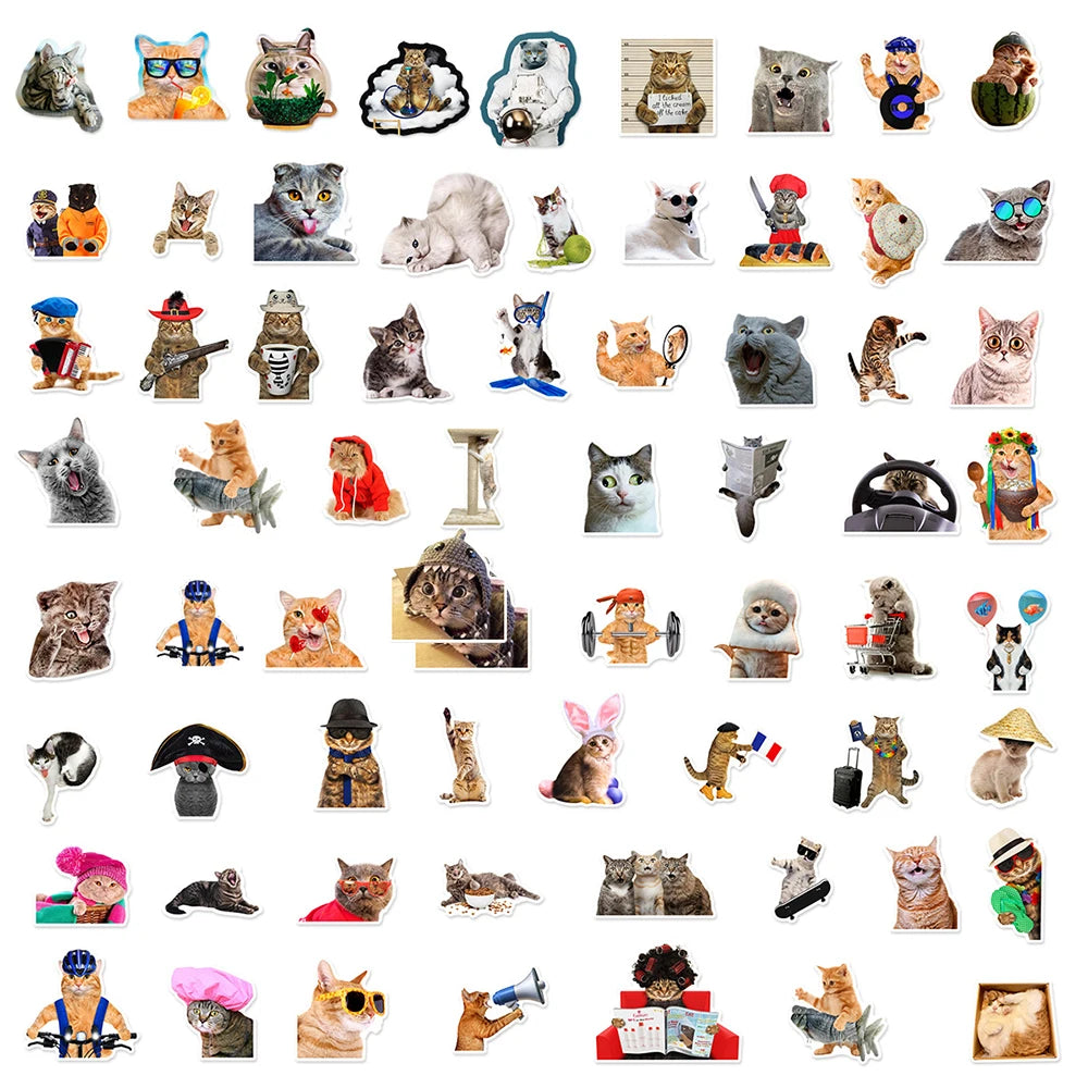 Hilarious Cat Stickers Pack