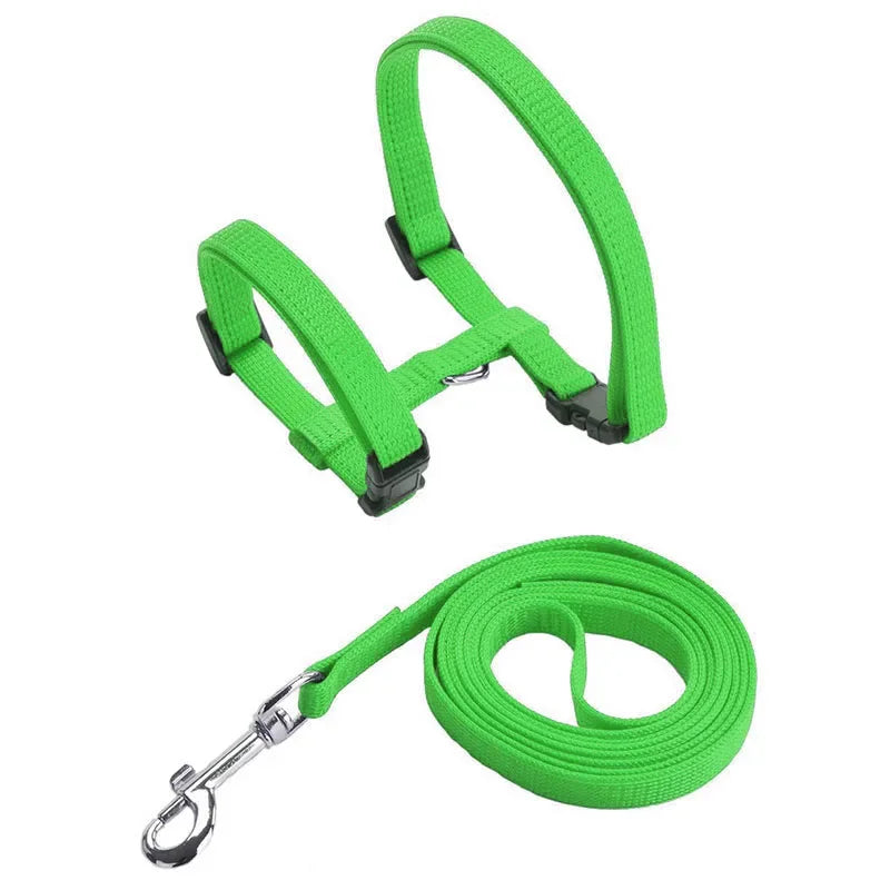 Collier de harnais anti-évasion pour chat