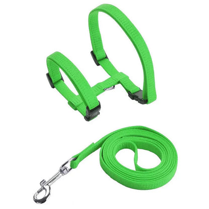 Collier de harnais anti-évasion pour chat