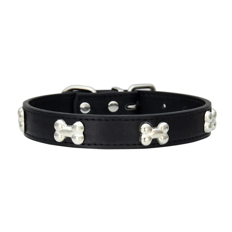 Colorful Dog Collar with Bone Studs