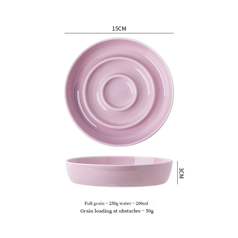 Ceramic Pet Slow-Feed Bowl