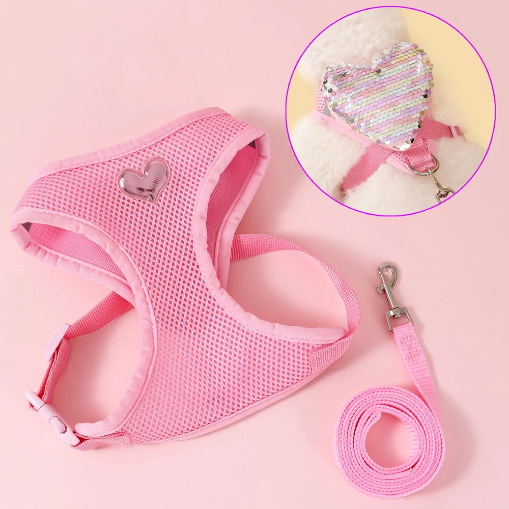 Butterfly Cat Harness Set