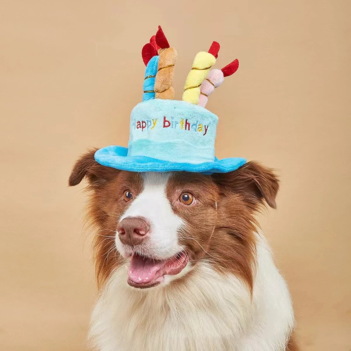 Chapeau de fête d'anniversaire pour animaux de compagnie