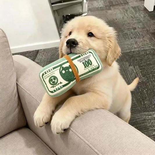 High-Roller Pet Money Plush
