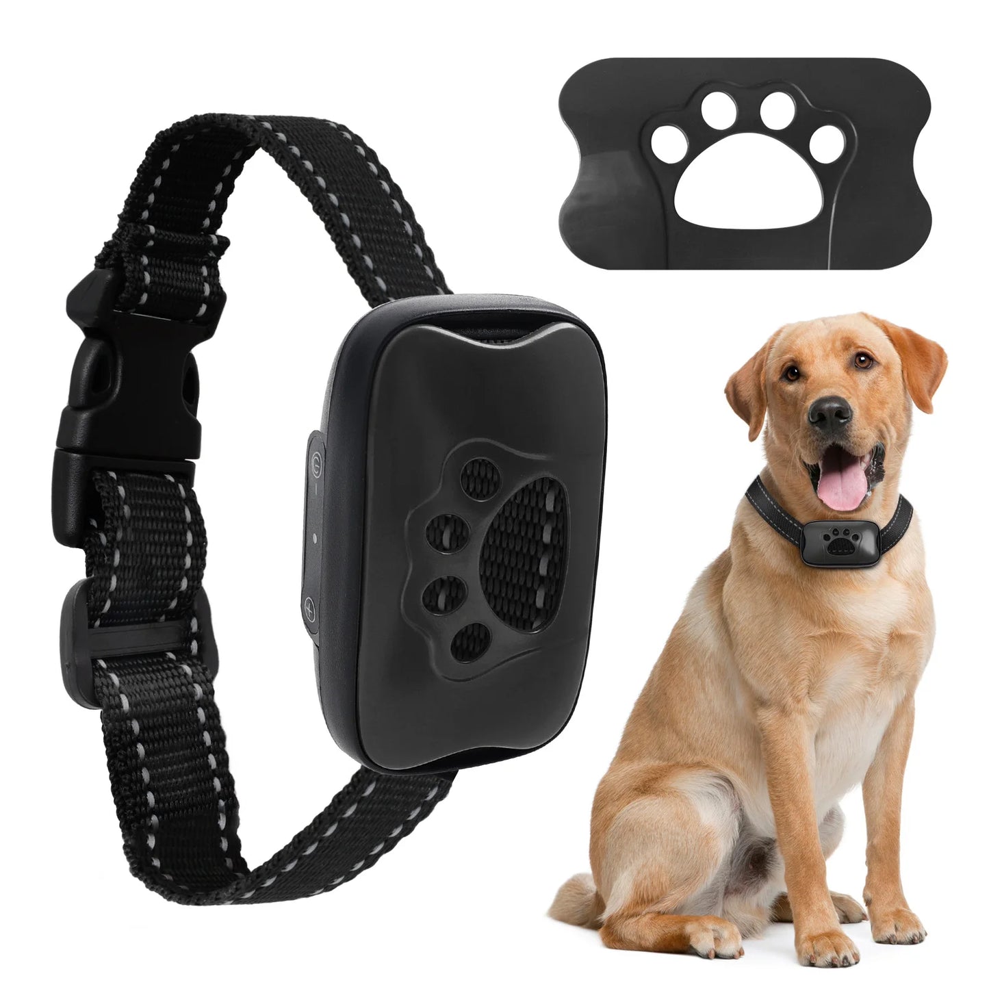 Smart Dog Training Collar